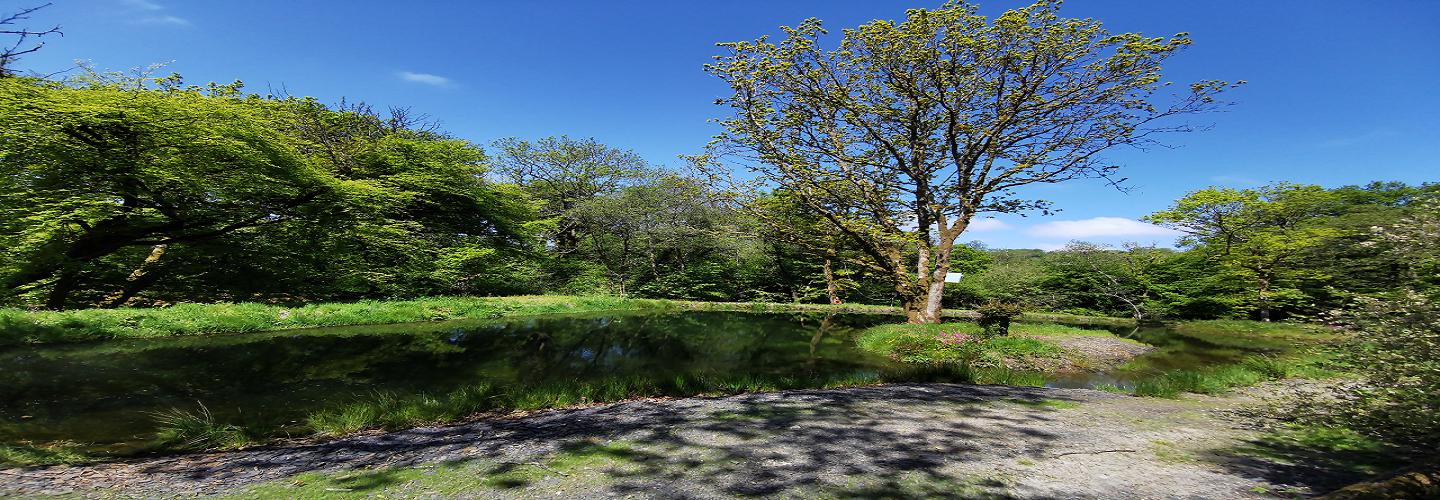 Wellstone Cottages cover photo