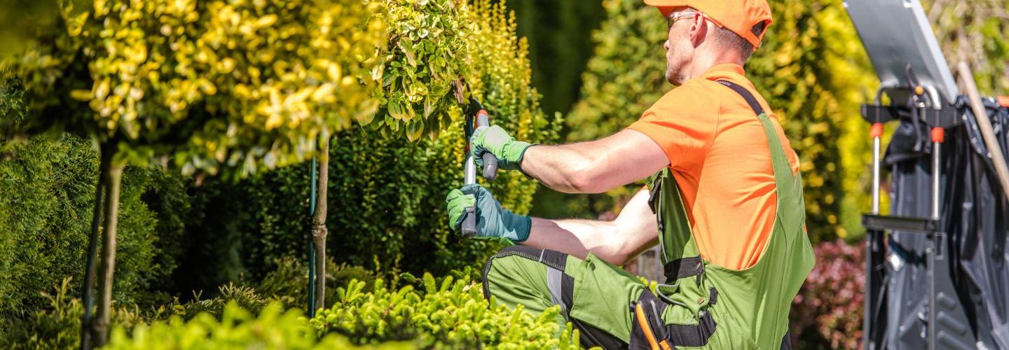 The Works Lawn Service cover photo