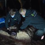 VerdantGreen Ltd - photo 1