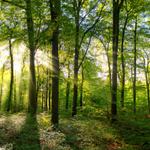 Lucy Harris Counselling - photo 3