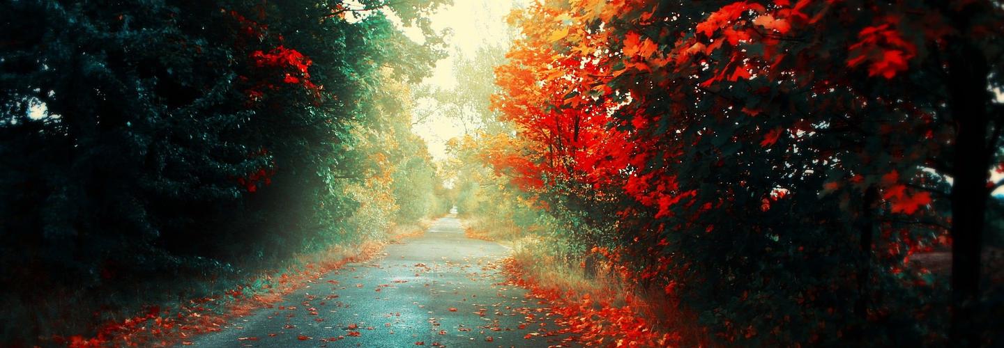 Alhumd Inspections cover photo