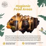 Palm Beach Wildlife Services - photo 2