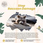 Palm Beach Wildlife Services - photo 3