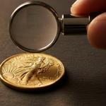 Bullion fortune - photo 1