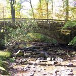 Pittsburgh Roaring Run Rv Resort - photo 6