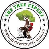 The Tree Expert - Tree Services in Bucasia