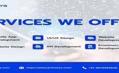 Primocys - IT Company - Web Design & Development