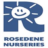 Rosedene Redcar Children's Nursery - Education in Redcar
