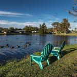 BNB Gulf Coast - photo 1