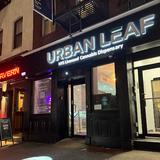 Urban Leaf