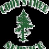 Codys Tree Service - Tree Services in South Lake Tahoe