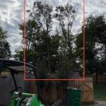 ClearView Tree Care - photo 3