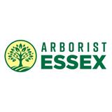 Arborist Essex - Tree Services in Chelmsford