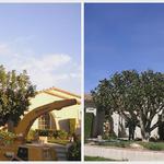 The Branch - photo 4