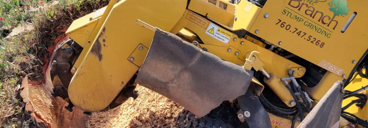 The Branch cover photo