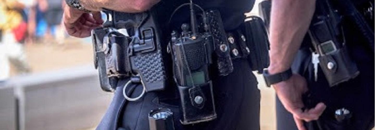 NPS Protective Service cover photo