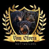Vom Olvera Rottweilers - Pet/Animal Breeders in Olivehurst