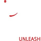 All Dogs Unleashed Dog Training Des Moines - Dog Walkers in Des Moines