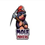 Mole Miners of Evansville - Pest Control in Evansville