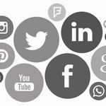 Idaho Falls SEO Raptor - photo 7