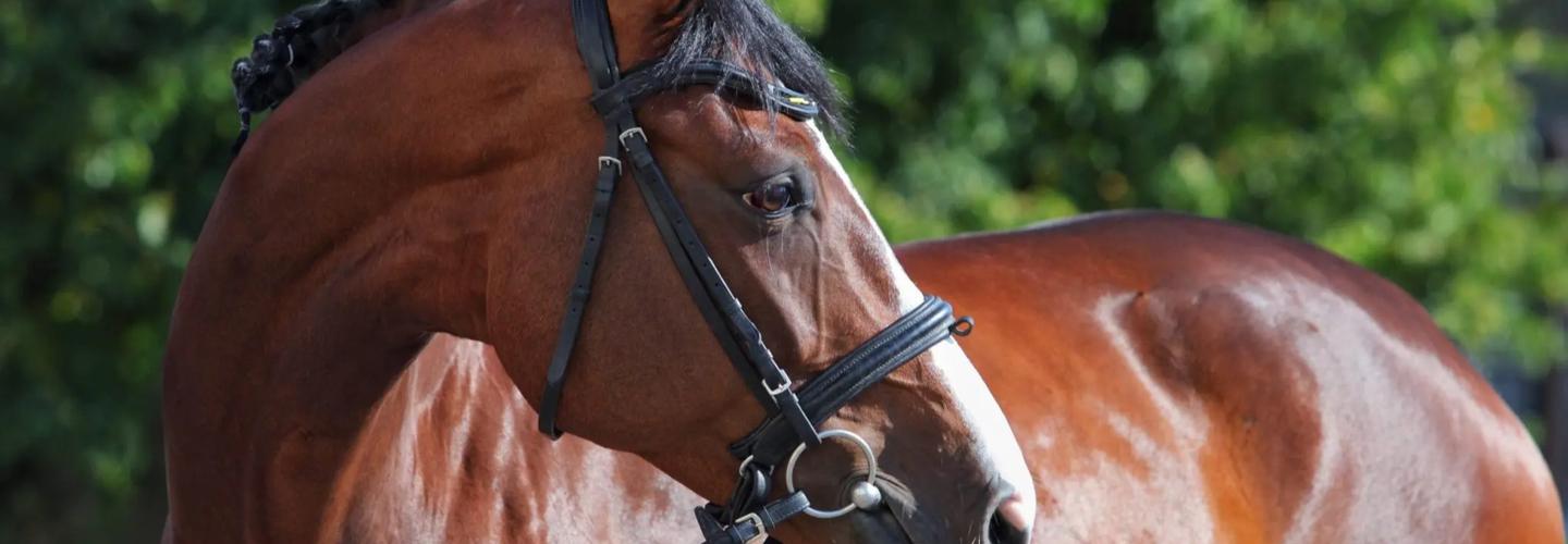 NPC Health cover photo