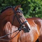 NPC Health - photo 3