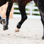 NPC Health - photo 4