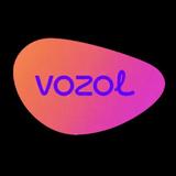 Vozol Store Espana