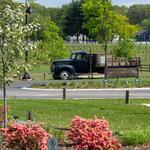 Saddlehill Winery - photo 5