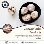 River Lea House Llc - photo 3