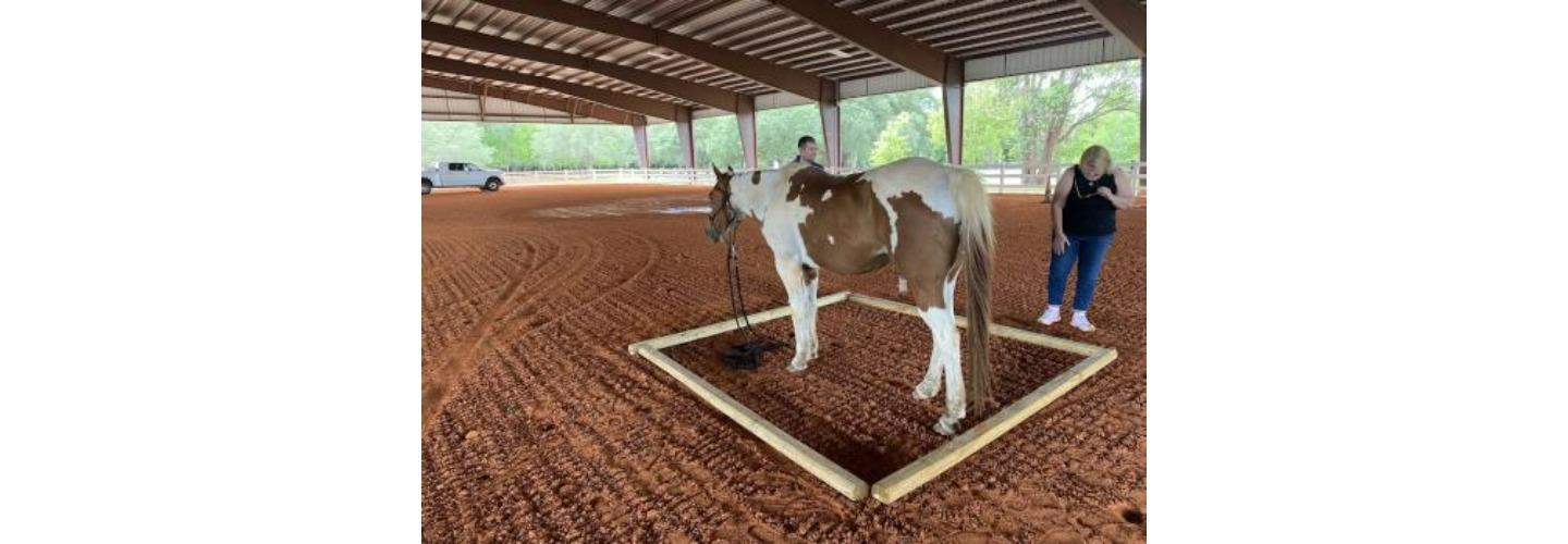 Suhls Rodeo Team Building cover photo