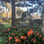 Treetops Bed & Breakfast - photo 1