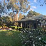 Treetops Bed & Breakfast - photo 2