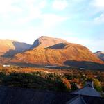 Treetops Bed & Breakfast - photo 8