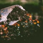 Rockdale Sand & Gravel - photo 4