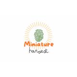 Miniature Harvest - Food in Grand Prairie