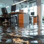 Wisco Restoration - photo 5