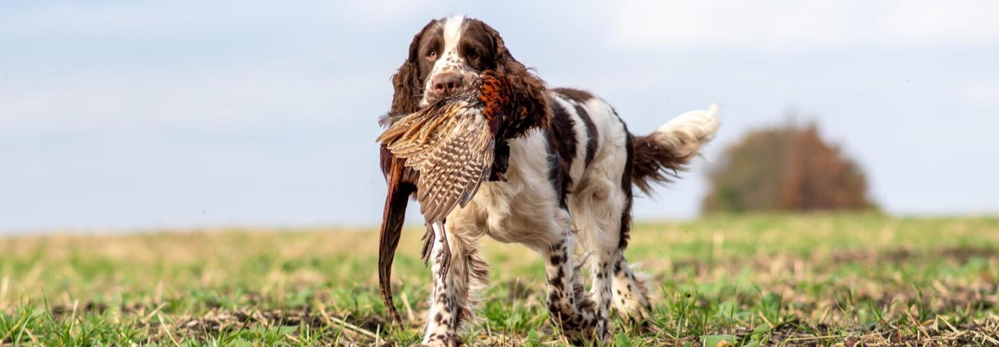 Gamesafe Products cover photo