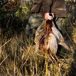 Gamesafe Products - photo 1