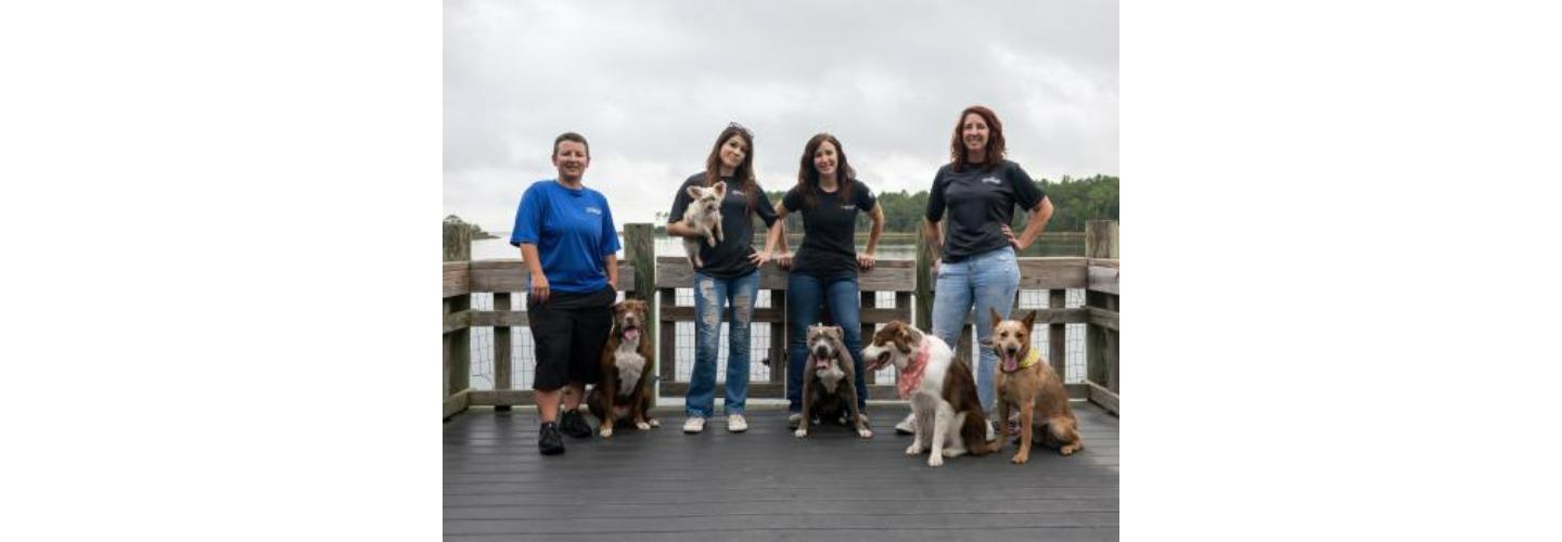 Off Leash K9 Training 30A cover photo