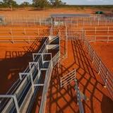 Queenslander Creek Ag Solutions - Agricultural Products & Services in Mosman Park