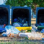 affordableskippybins - photo 4