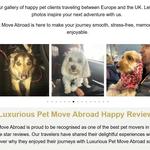 Luxurious Pet Move Abroad - photo 2