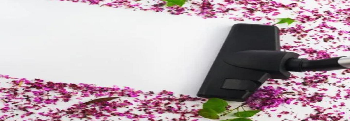 Ace Cleaning Domestic cover photo