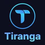 Tiranga game - Escape Games in Indianapolis