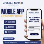 Skyclick Media - photo 3