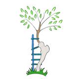 Shore Hip & Joint Brett Shore, MD Hip Surgeon