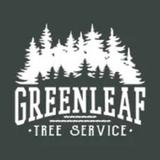 Green Leaf Tree Service - Tree Services in Mint Hill