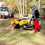 Green Leaf Tree Service - photo 1