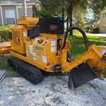 Green Leaf Tree Service - photo 3